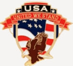 USA EAGLE PIN UNITED WE STAND PIN